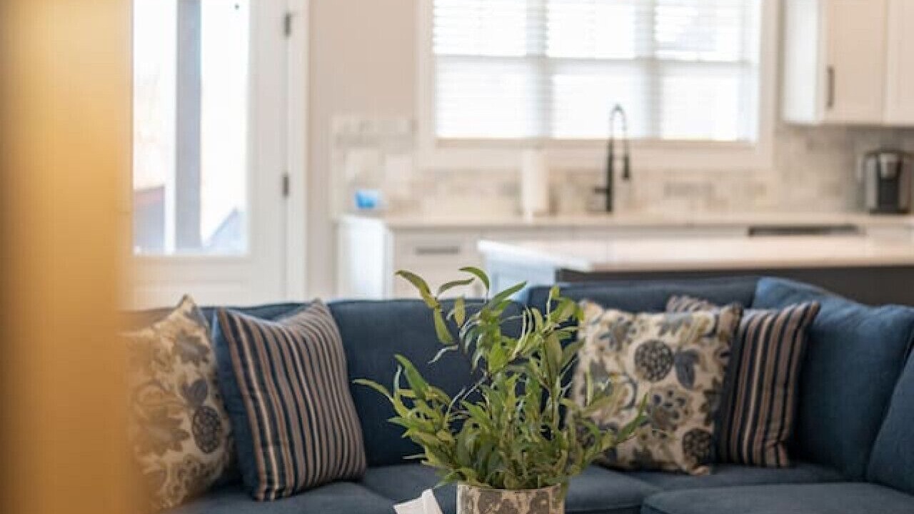 Photo of Livingroom in Forest