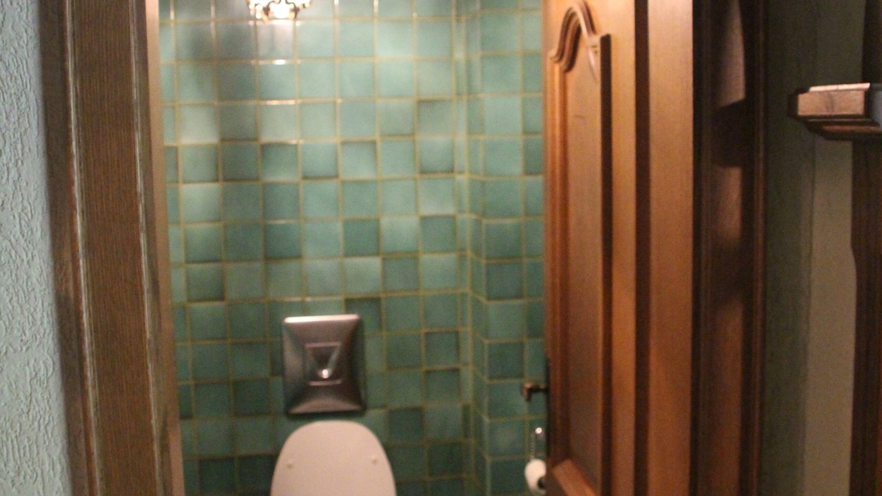 Photo of Bathroom in Wachenheim an der Weinstrasse