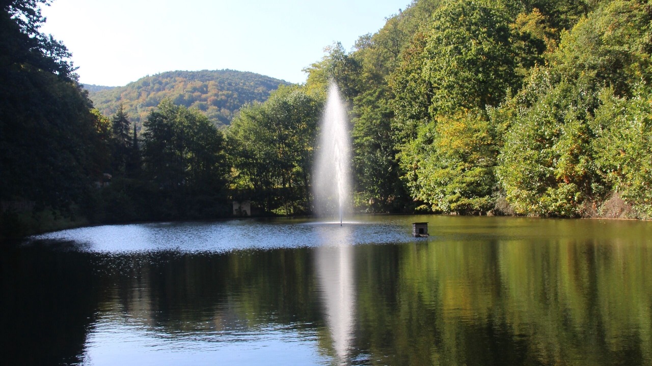 Photo of Others in Wachenheim an der Weinstrasse