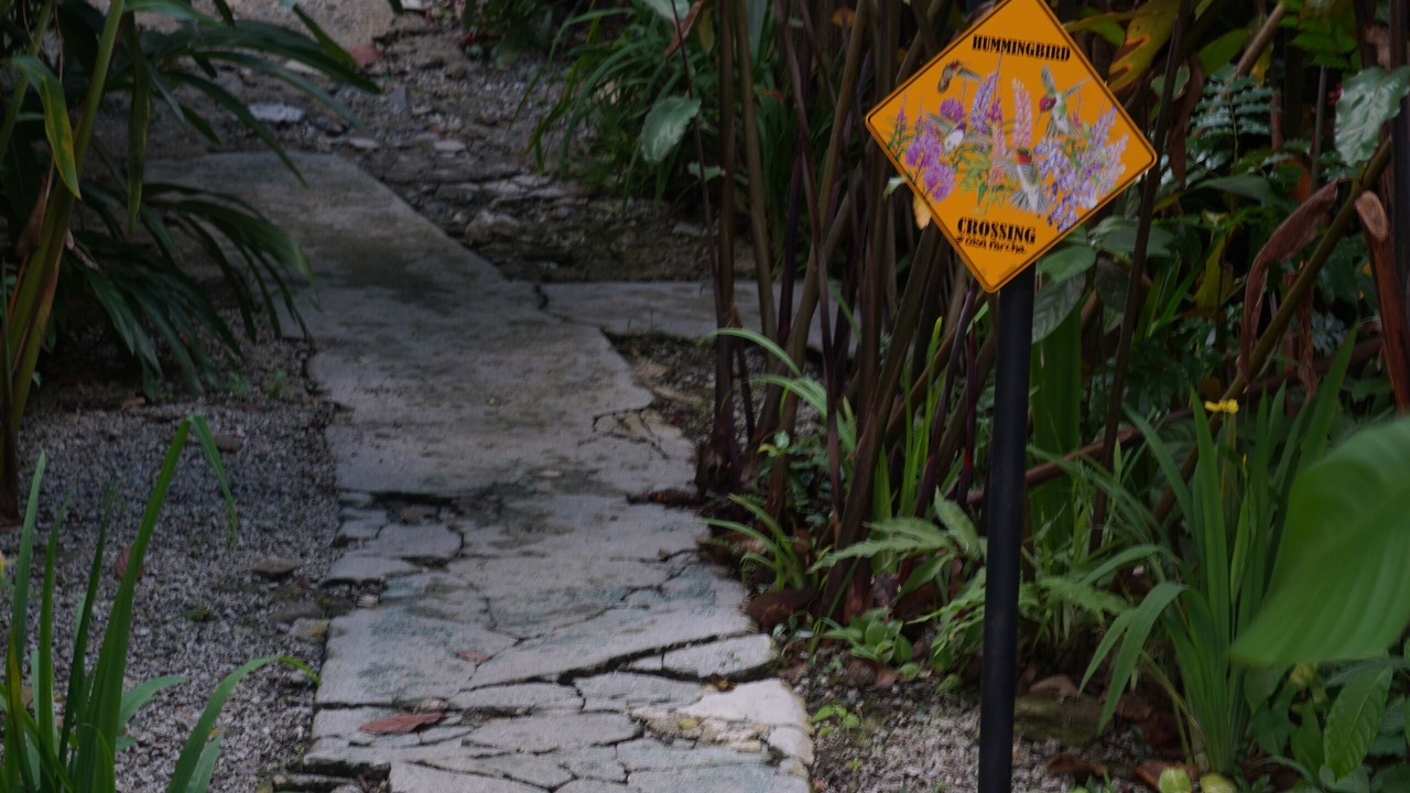Photo of Outdoor in Rio Blanco