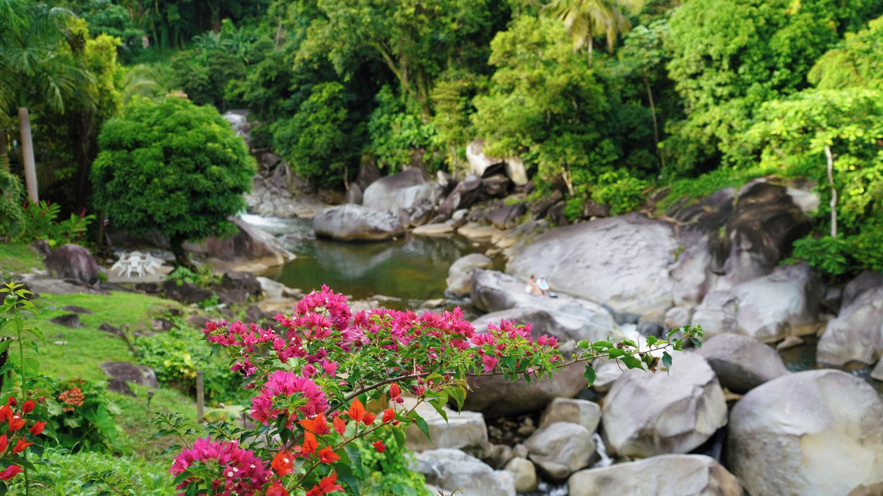 Photo of Outdoor in Rio Blanco
