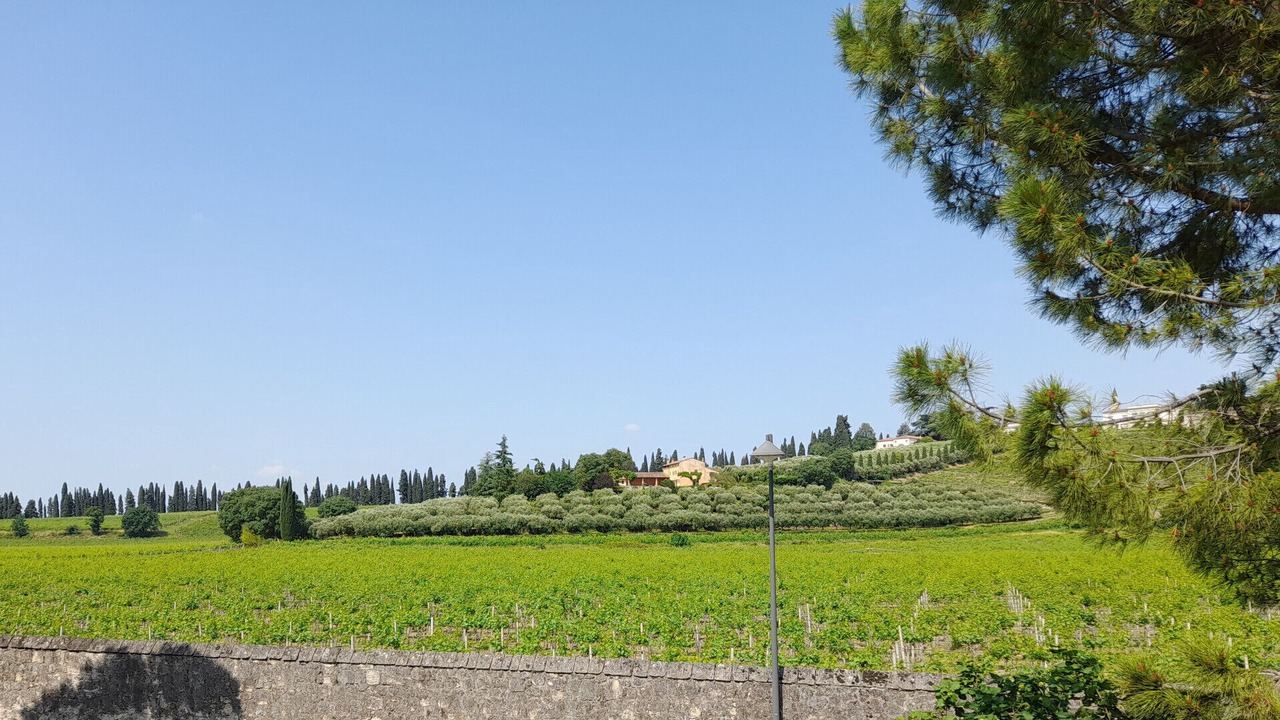Photo of Outdoor in San Martino Buon Albergo