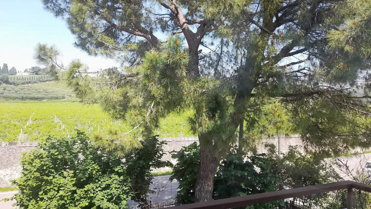 Photo of Outdoor in San Martino Buon Albergo