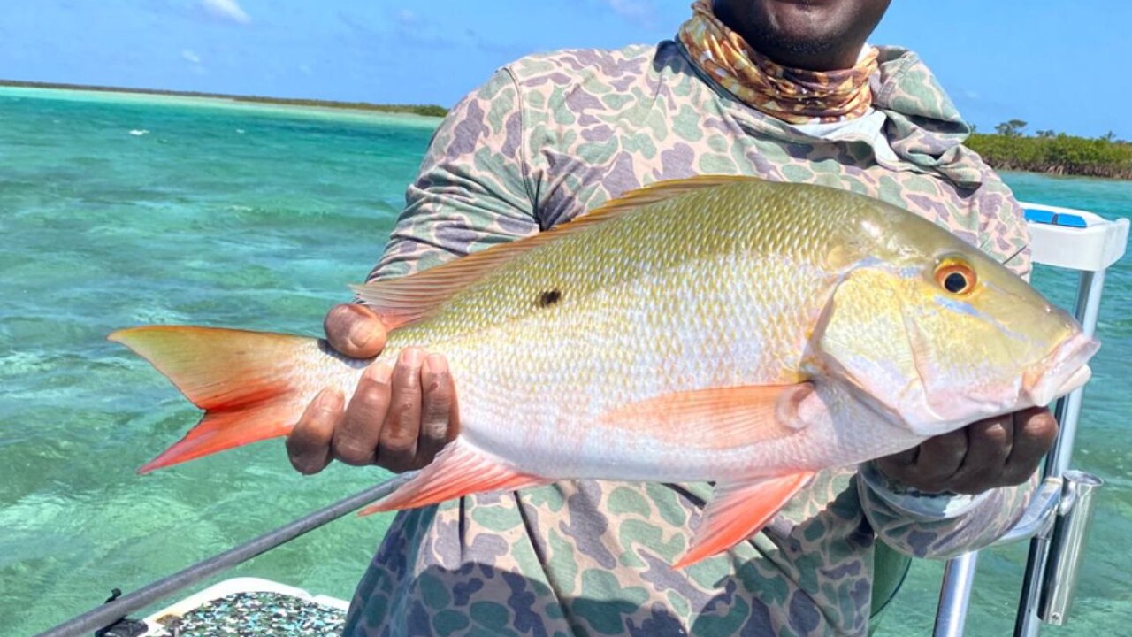 Photo of Others in Mangrove Cay