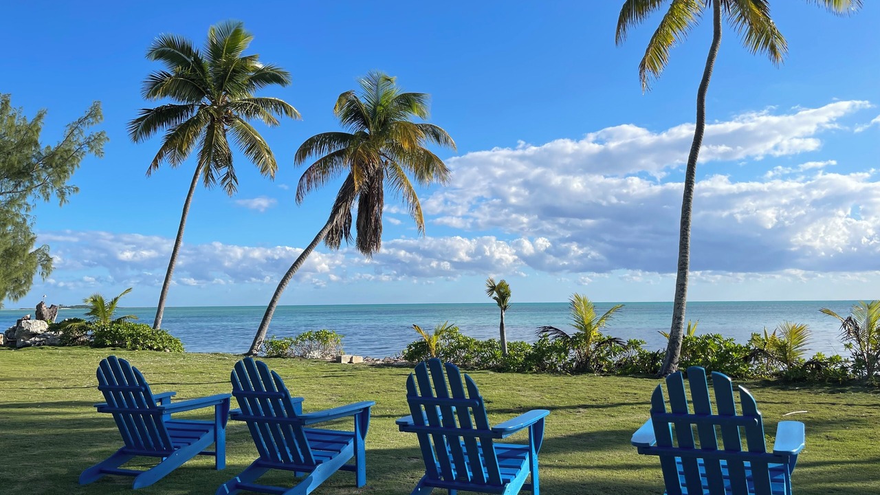 Photo of Outdoor in Mangrove Cay