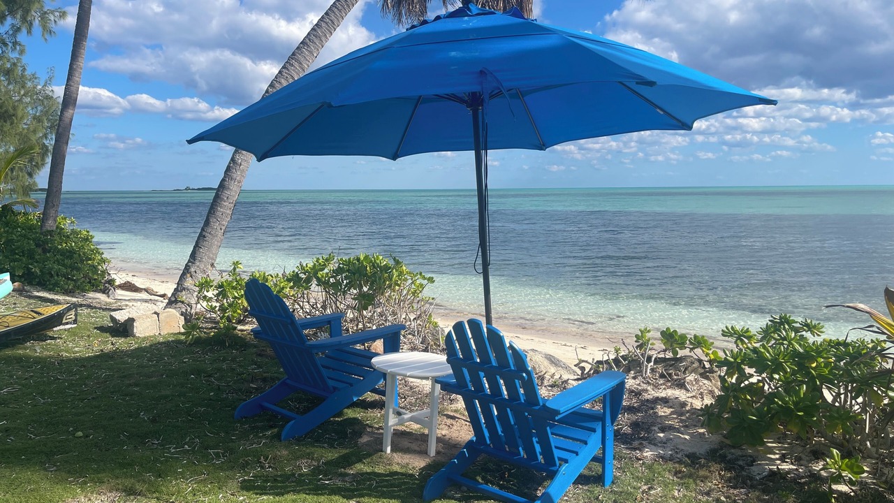 Photo of Others in Mangrove Cay