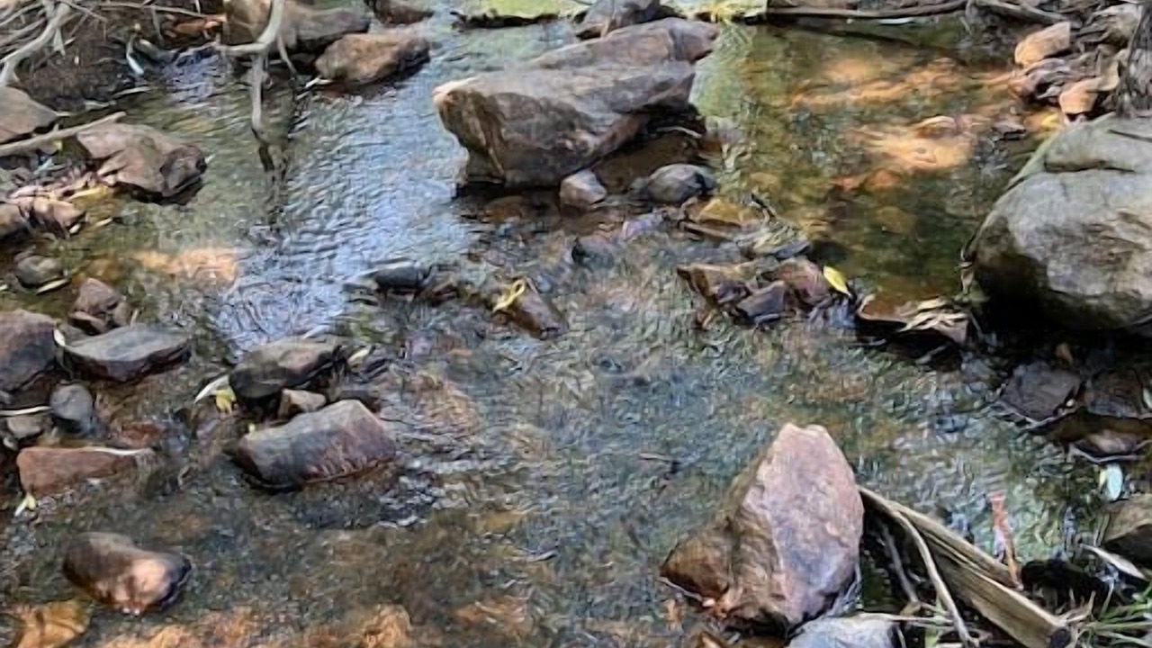 Photo of Outdoor in Coal Creek Canyon