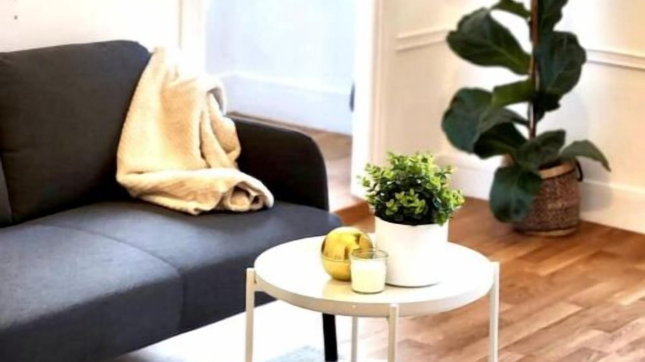Photo of Livingroom in Notre-Dame-des-Champs