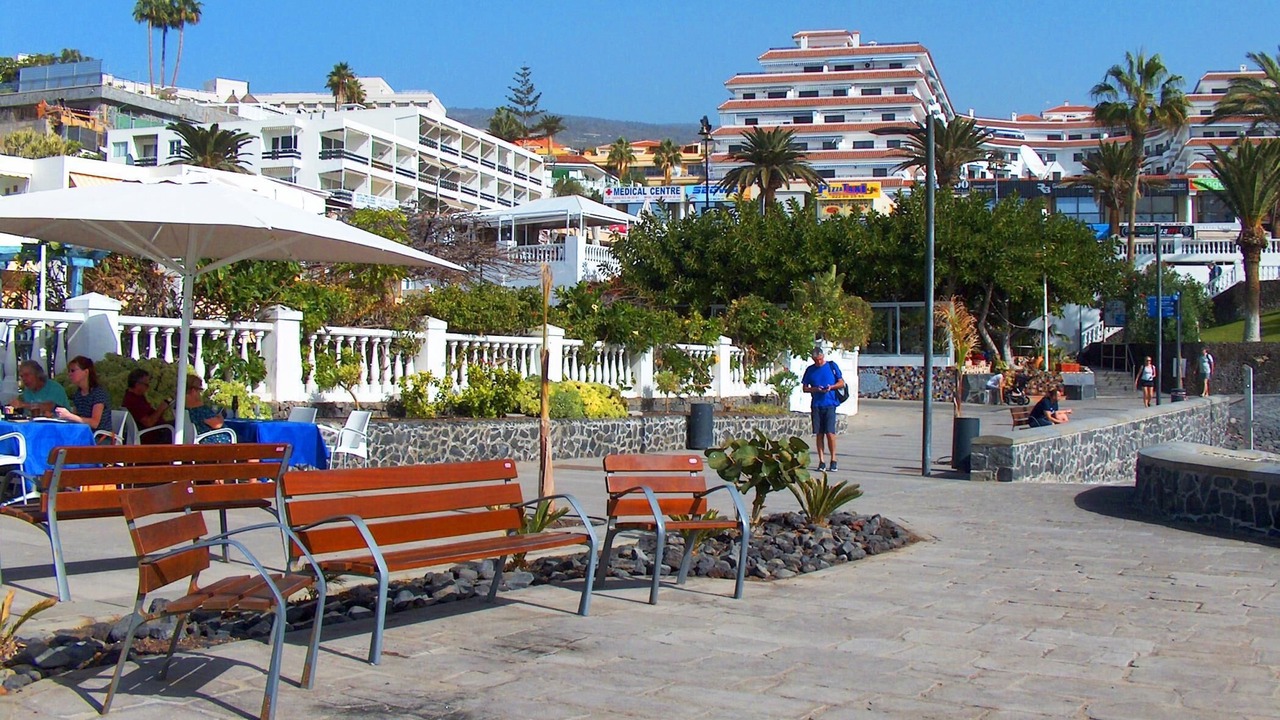 Photo of Patio Balcony in Puerto de Santiago