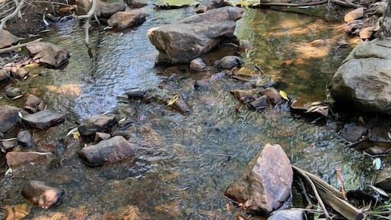 Photo of Outdoor in Coal Creek Canyon