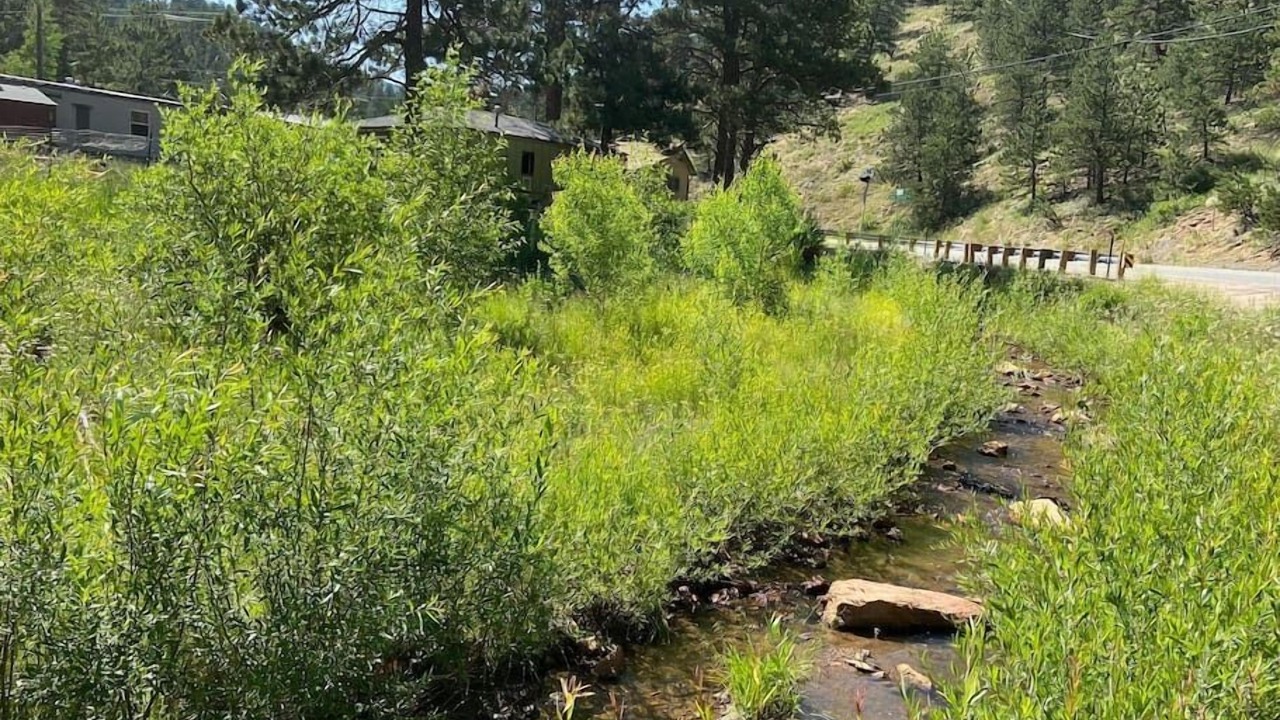 Photo of Outdoor in Coal Creek Canyon