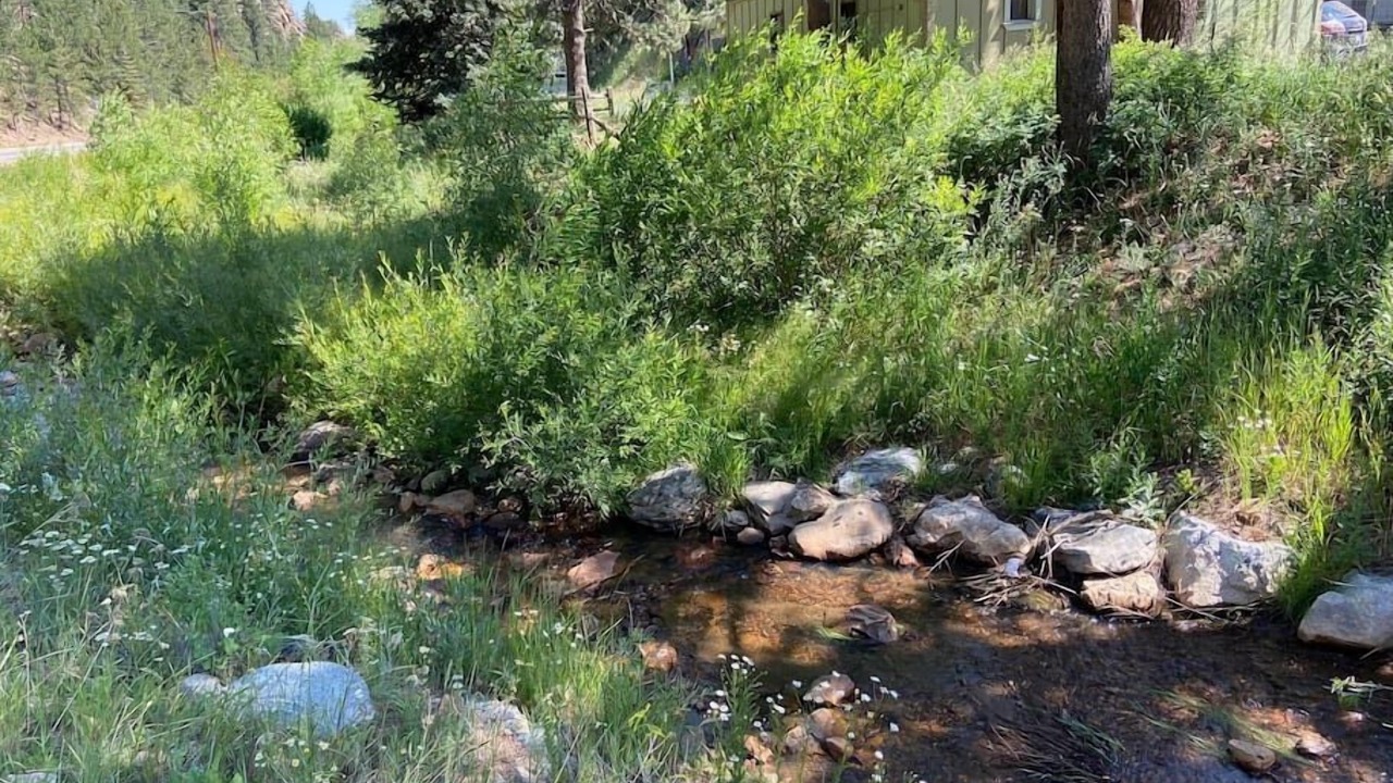Photo of Outdoor in Coal Creek Canyon