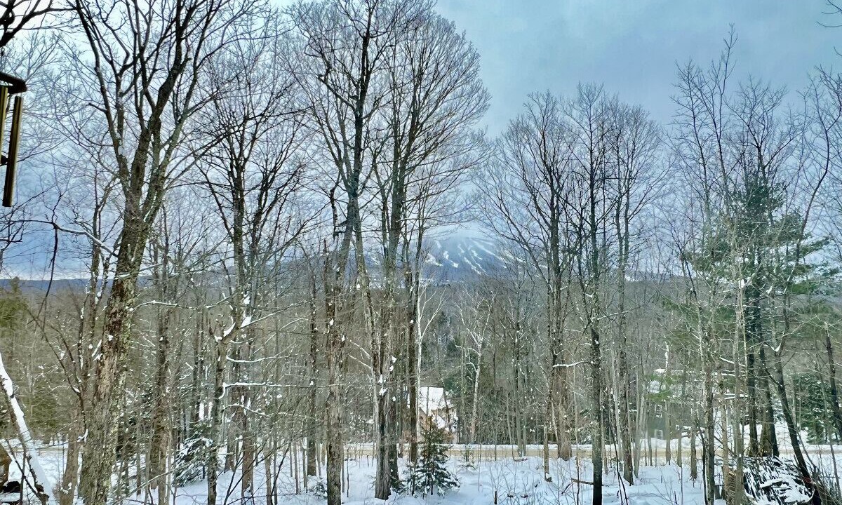 Photo of Others in Forest Farms