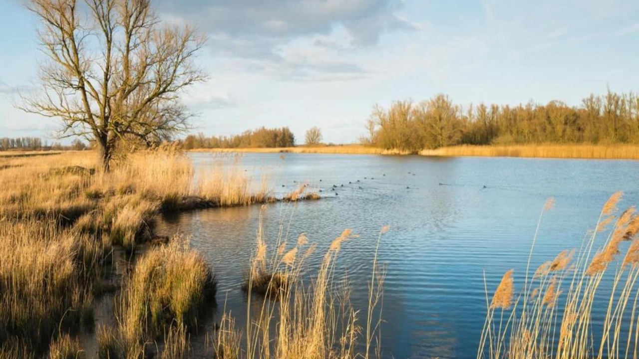 Photo of Others in Municipality of Veldhoven