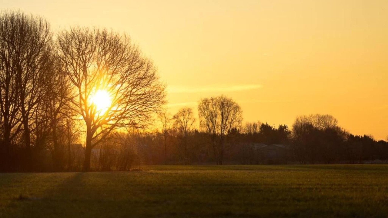 Photo of Others in Municipality of Veldhoven