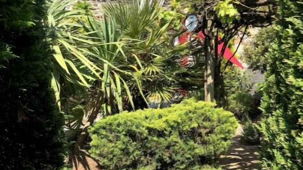 Photo of Outdoor in Pontrieux