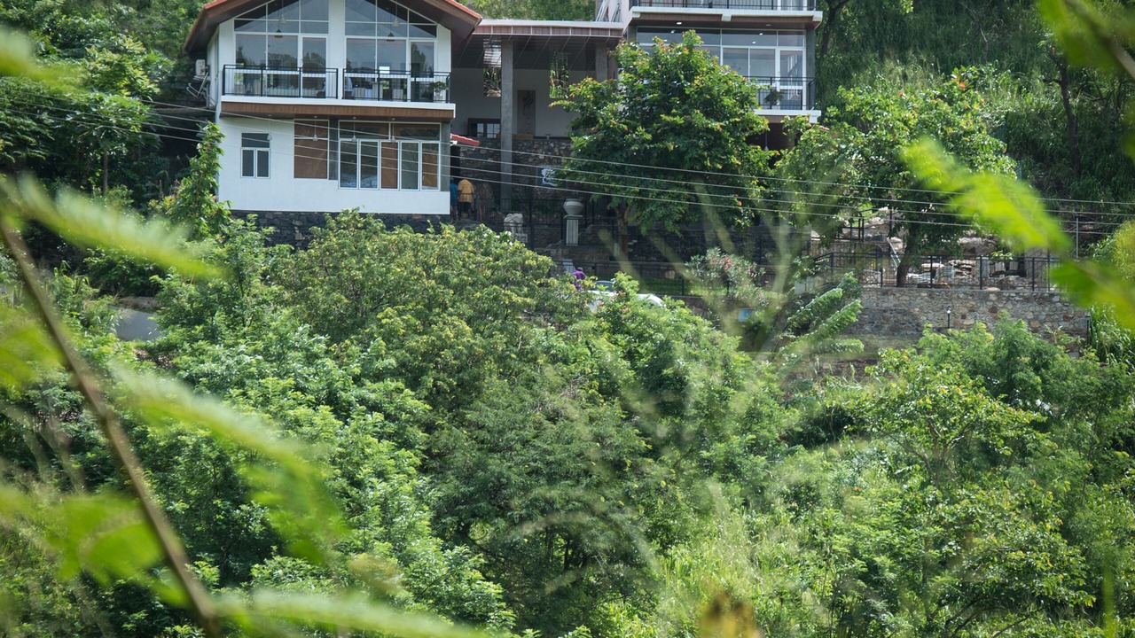 Photo of Outdoor in Wayikkal