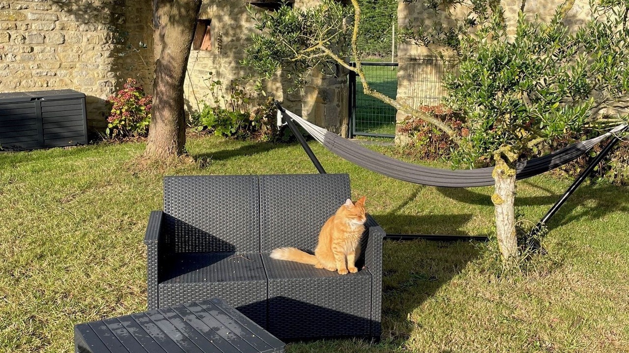Photo of Outdoor in La Chapelle sur Vire