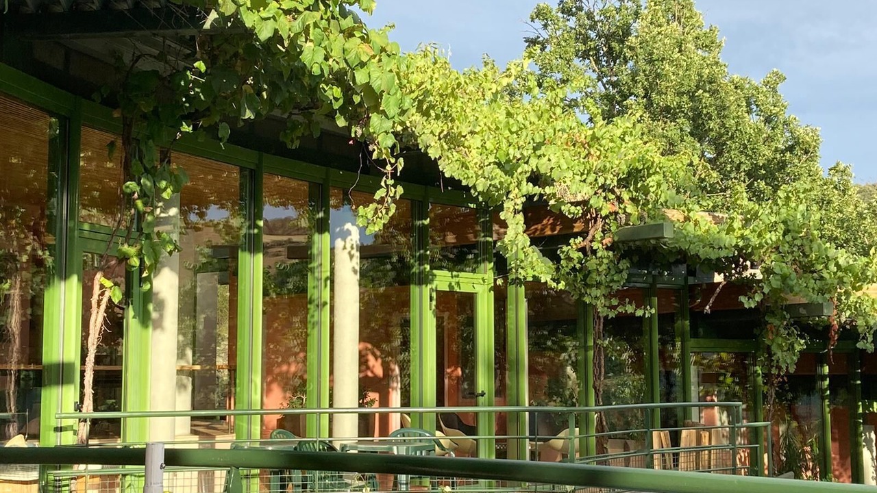 Photo of Outdoor in Cornus