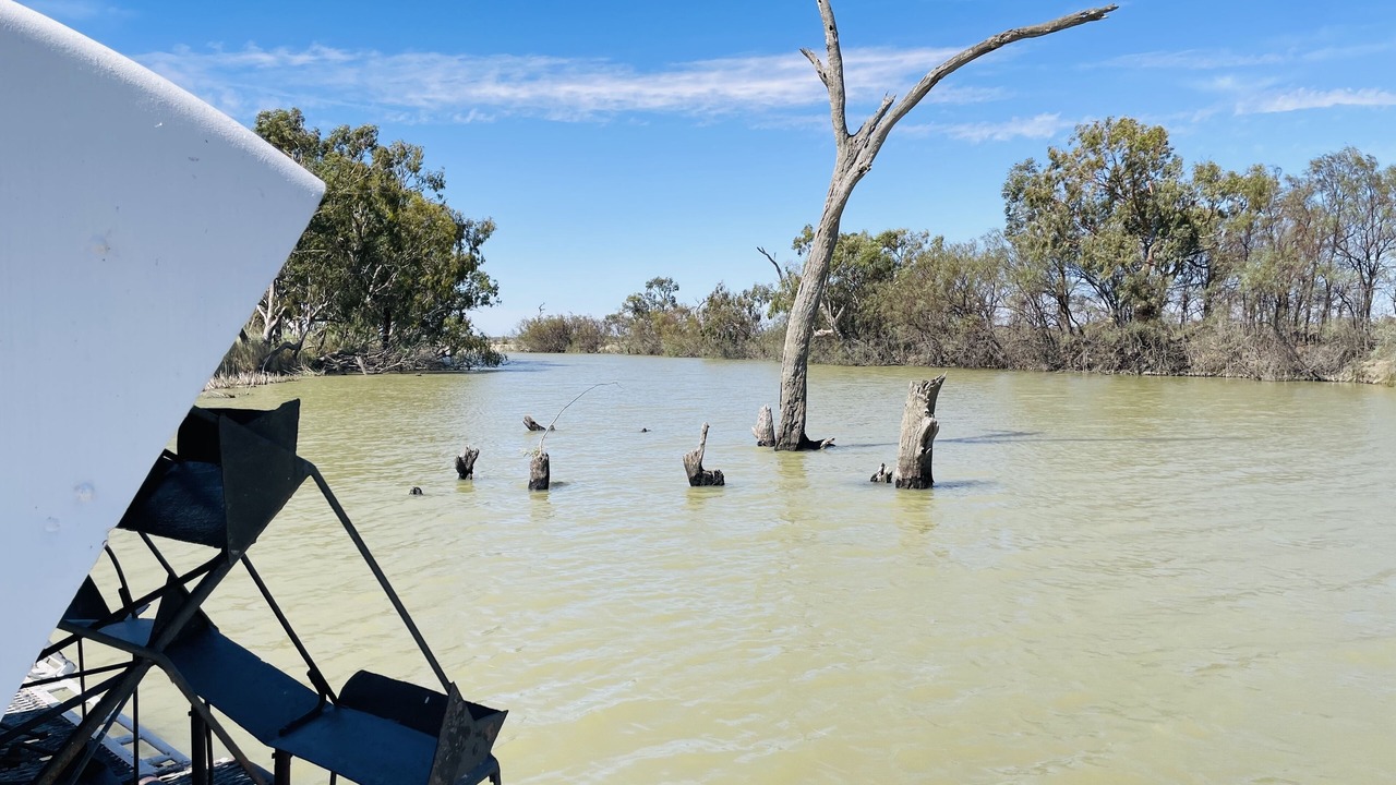 Photo of Outdoor in Renmark North