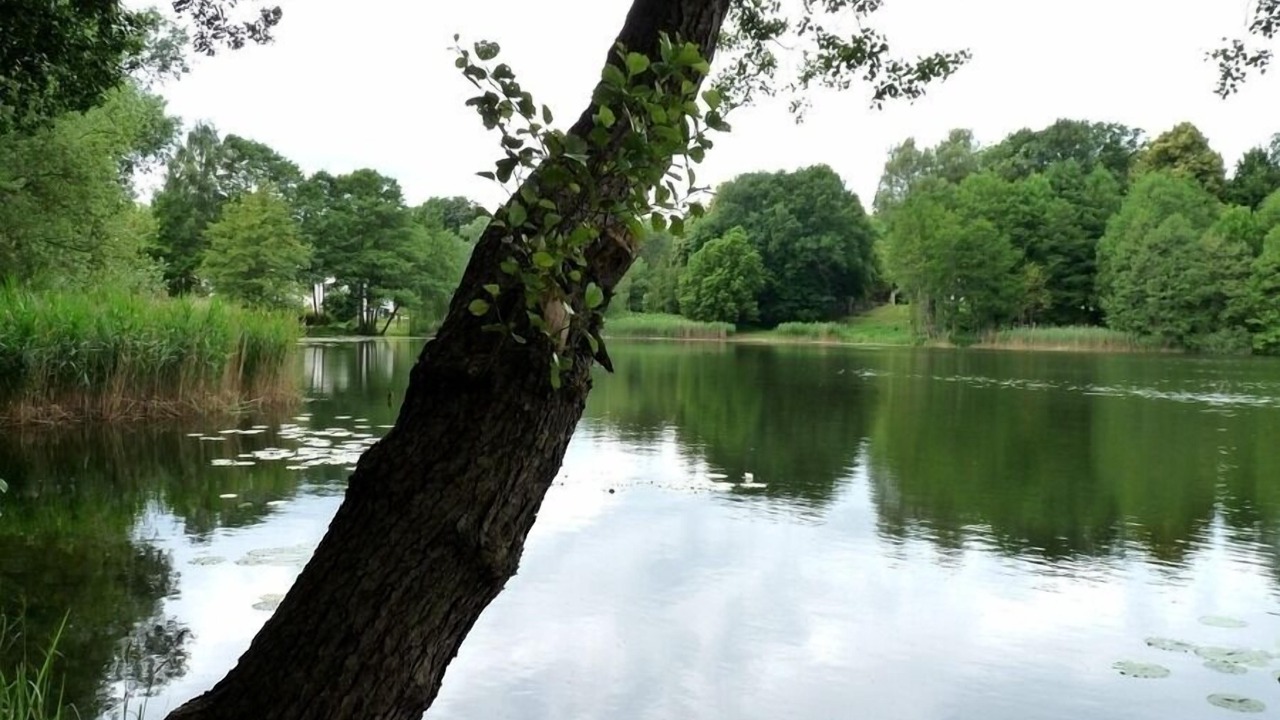 Photo of Outdoor in Dagow