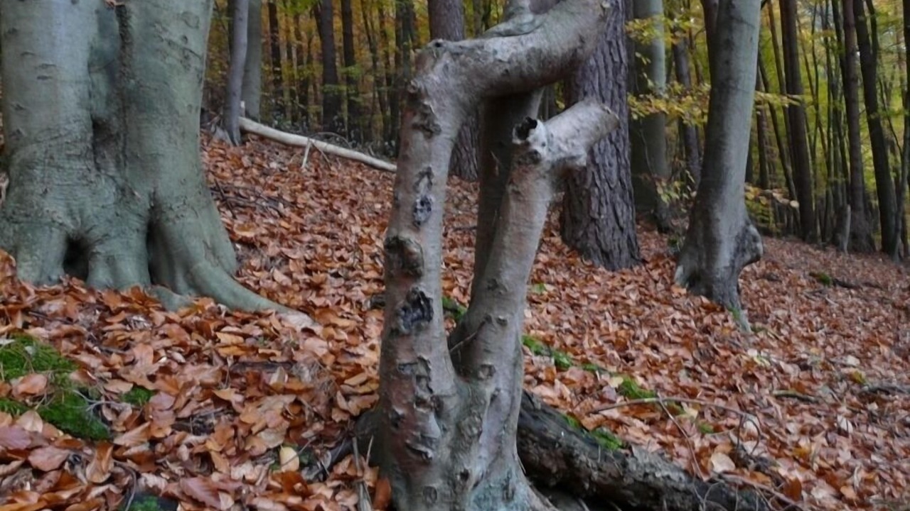 Photo of Outdoor in Dagow
