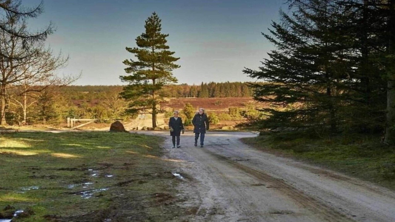 Photo of Others in Hovborg