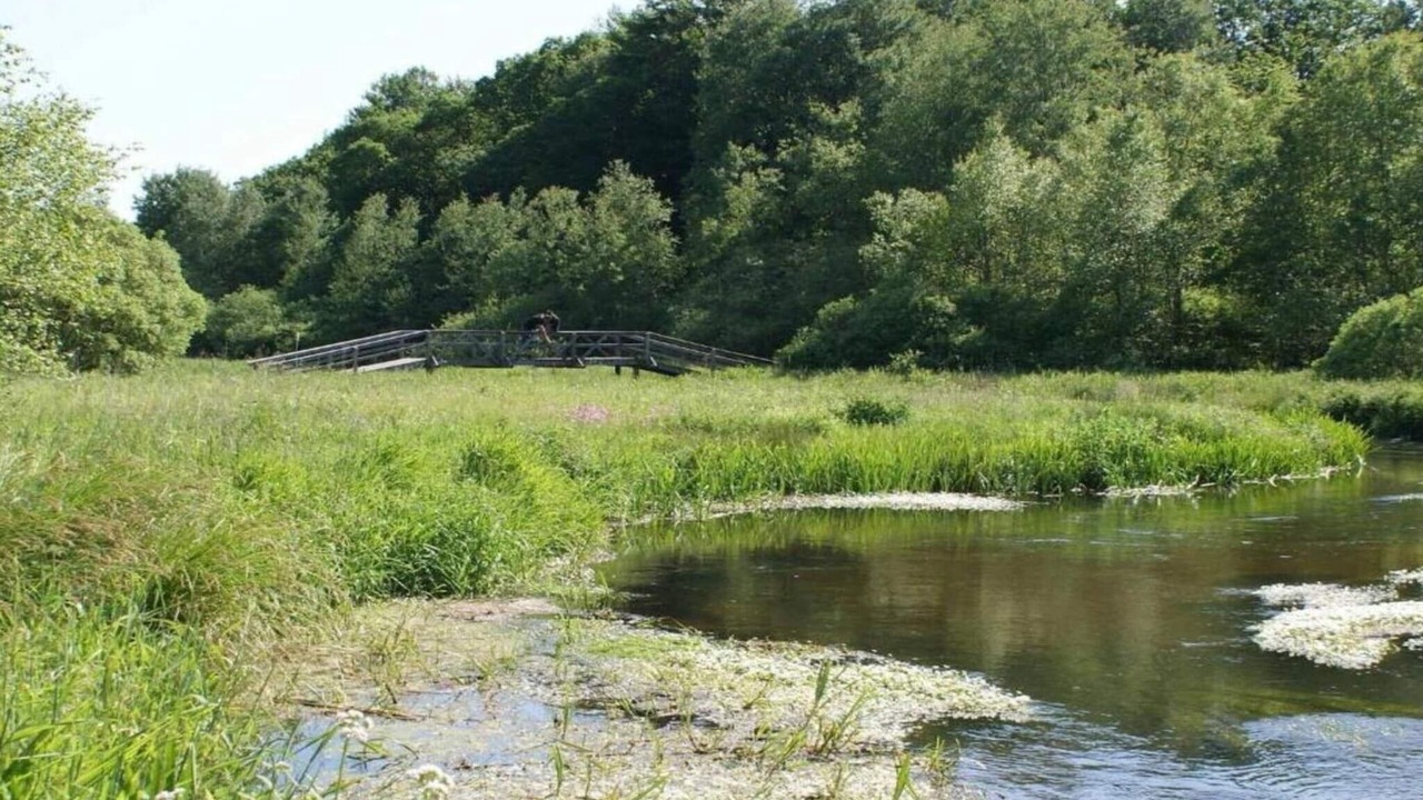 Photo of Others in Hovborg
