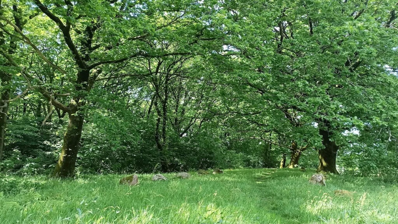 Photo of Others in Hovborg
