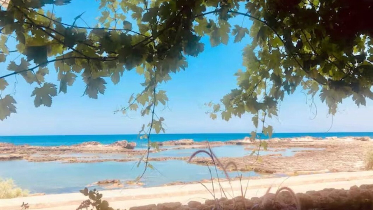 Photo of Others in Cape Greko