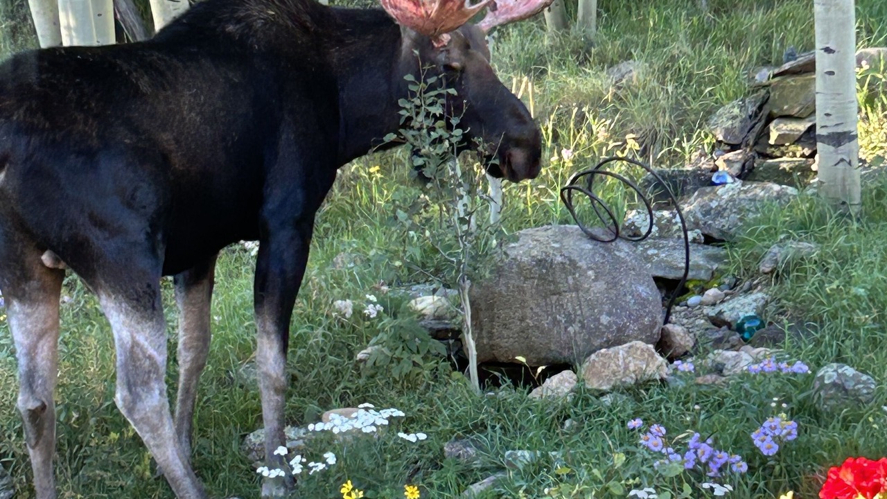 Photo of Others in Coal Creek