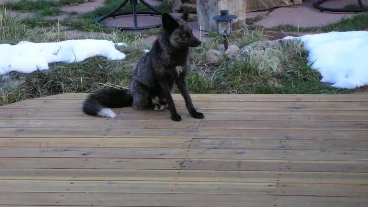 Photo of Others in Coal Creek