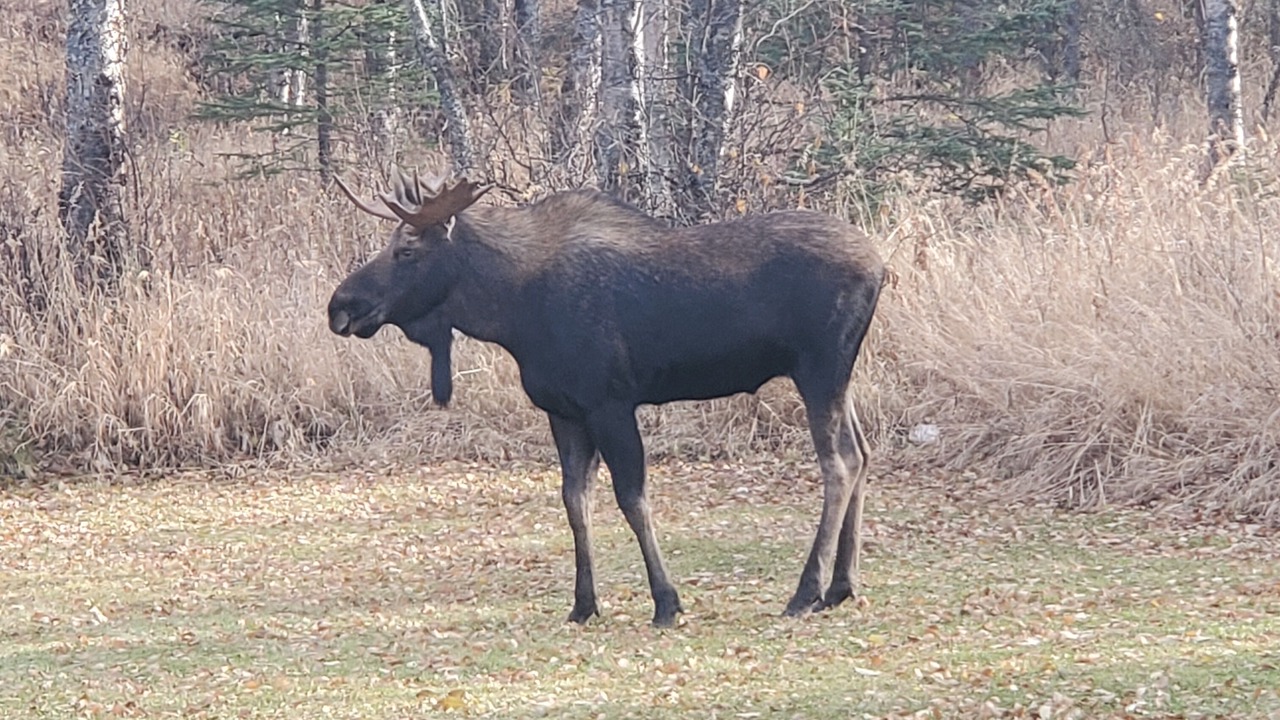 Photo of Others in Palmer