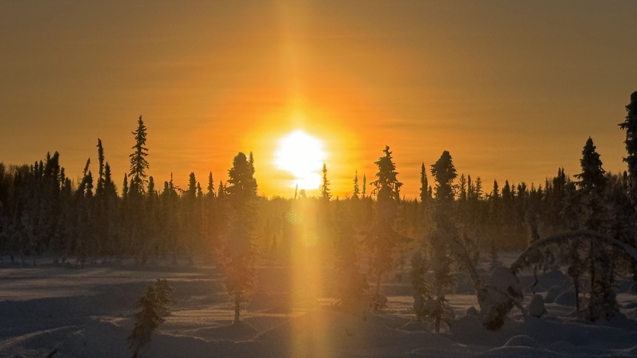 Photo of Others in Susitna North