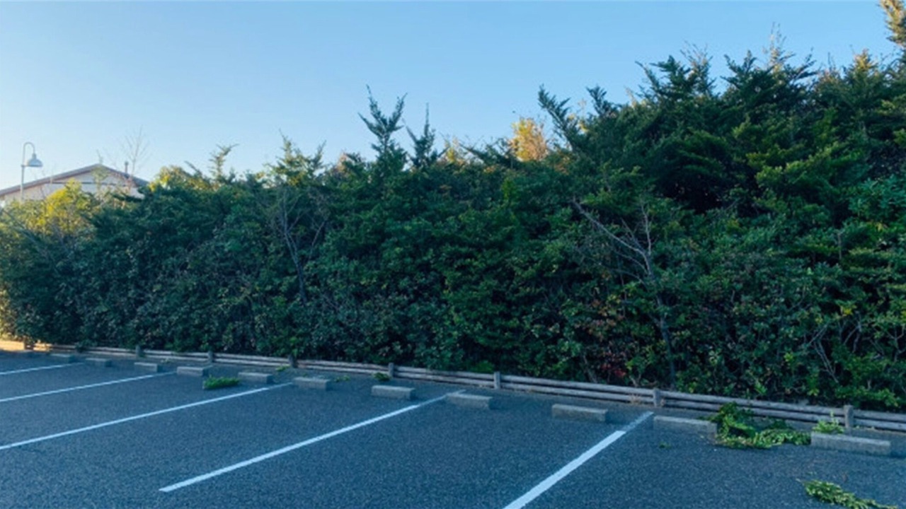Photo of Outdoor in Yokosuka