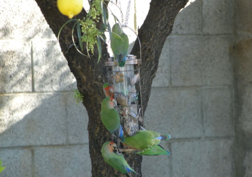Photo of Others in Hacienda Granada
