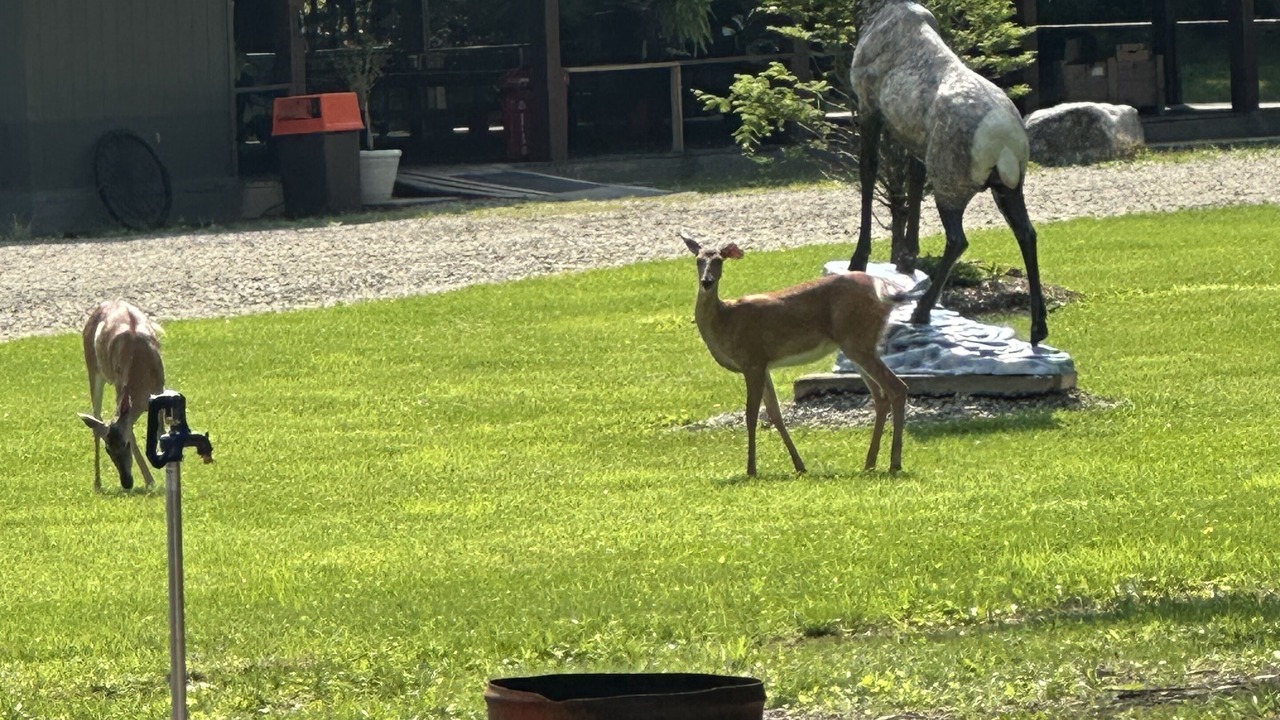 Photo of Outdoor in Hillsgrove