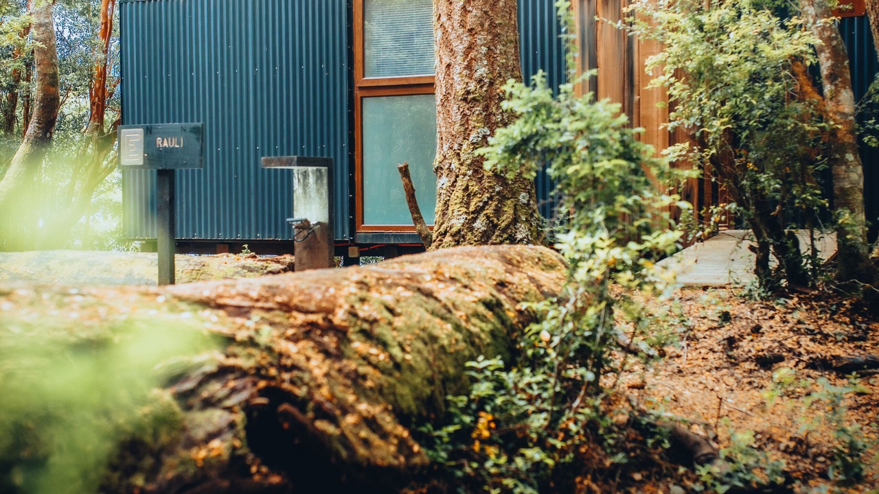 Photo of Outdoor in Puerto Fuy