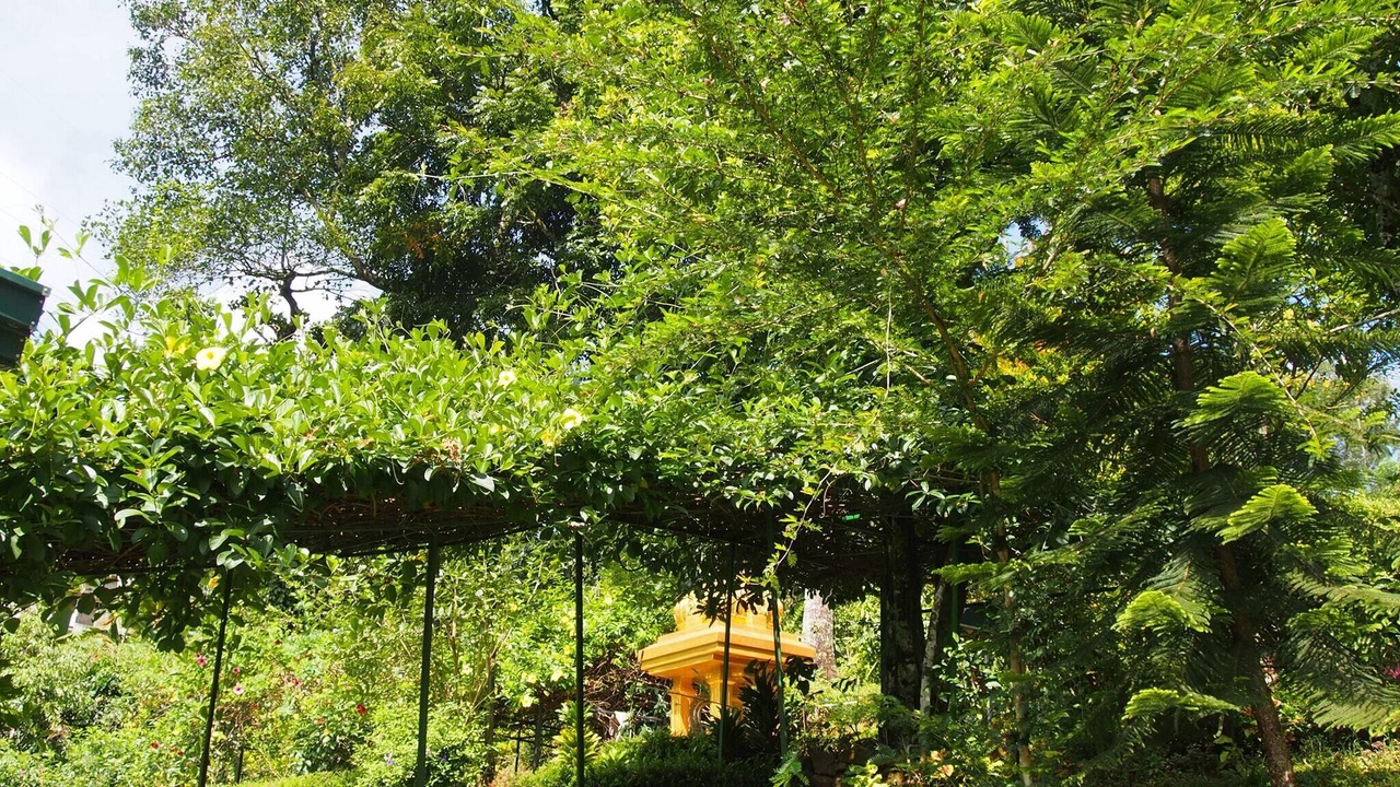 Photo of Outdoor in Katukitula