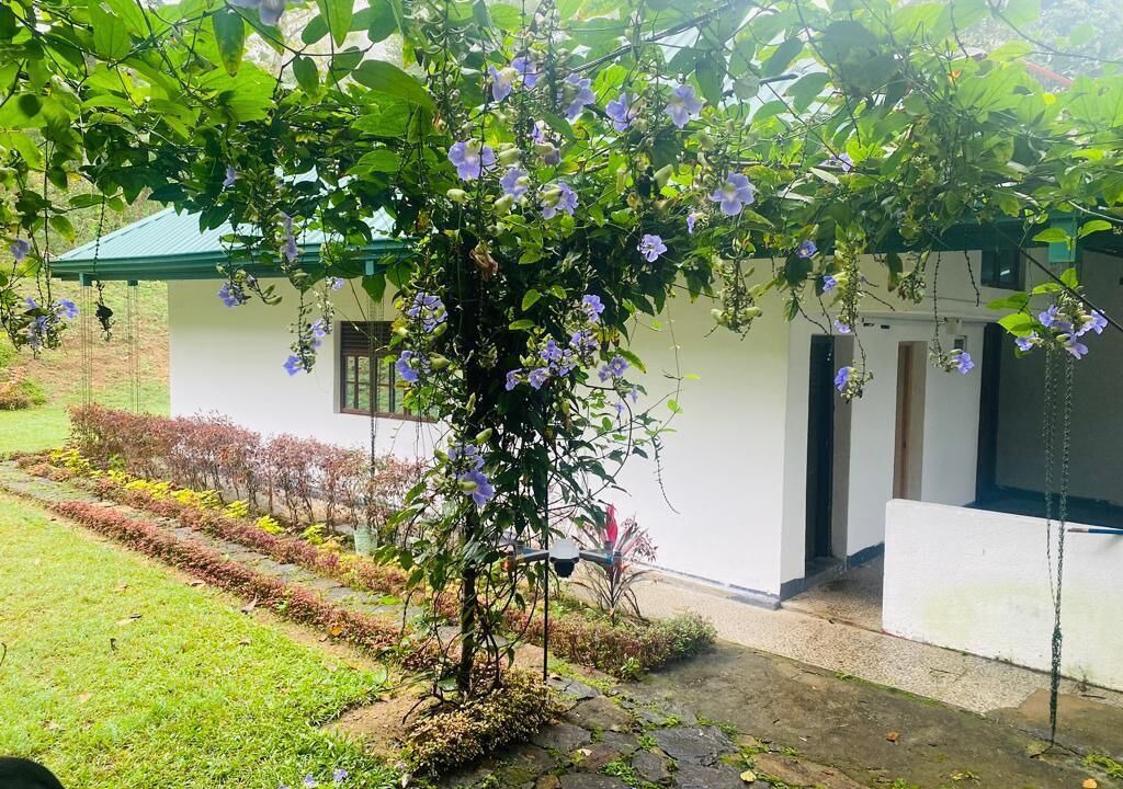 Photo of Outdoor in Katukitula