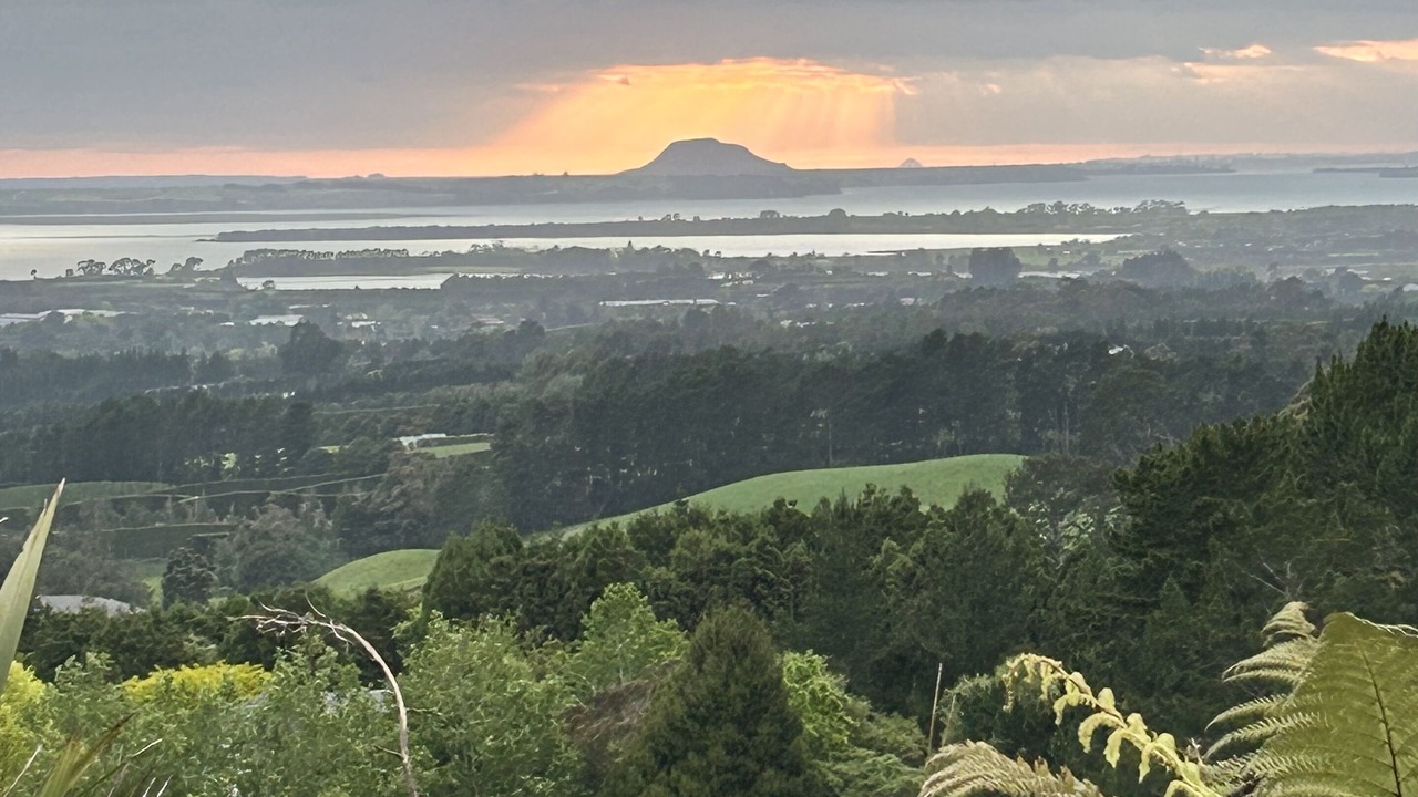 Photo of Outdoor in Katikati
