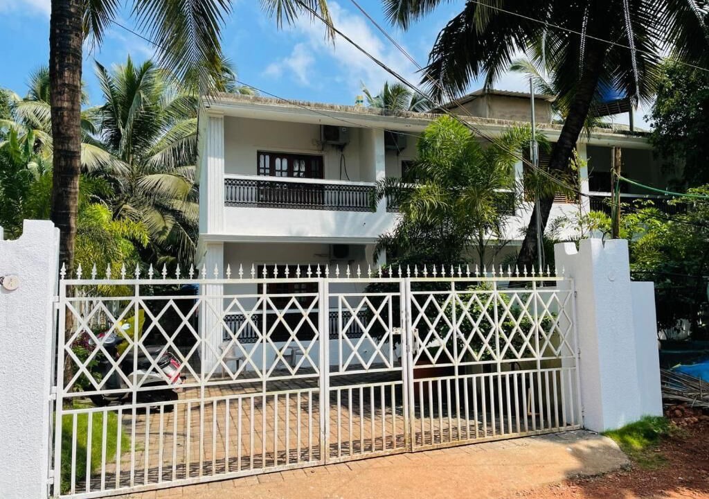 Photo of Outdoor in Mandrem