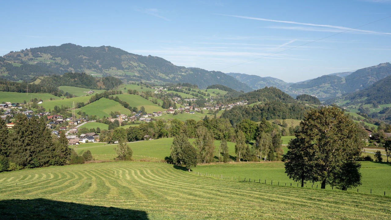 Photo of Others in Goldegg