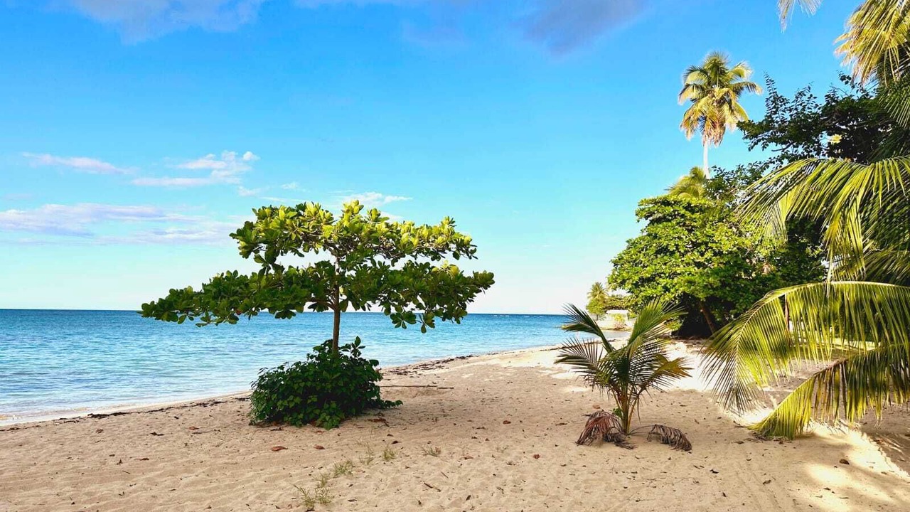 Photo of Others in Loiza