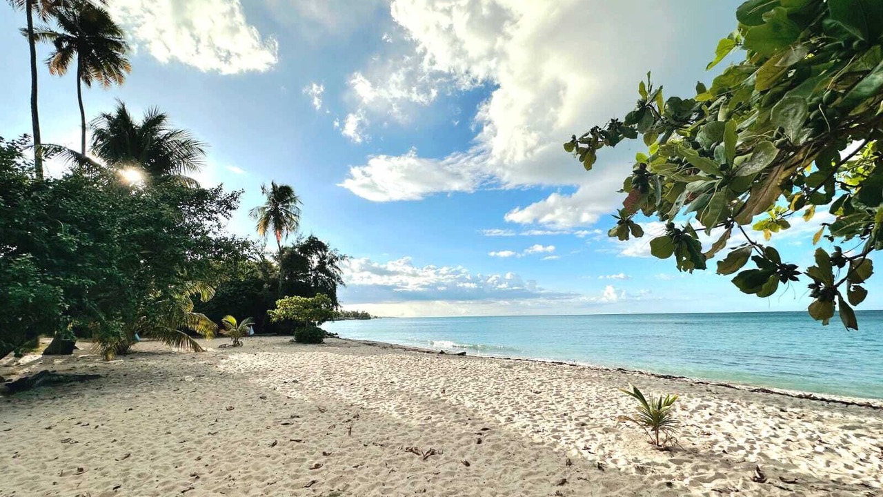Photo of Others in Loiza