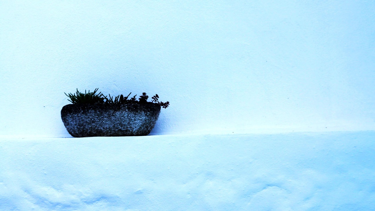 Photo of Outdoor in Gaviao