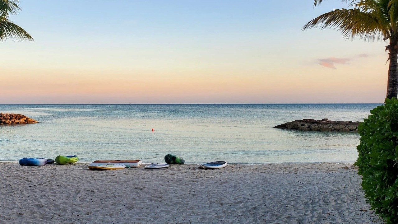 Photo of Others in Palm Cay