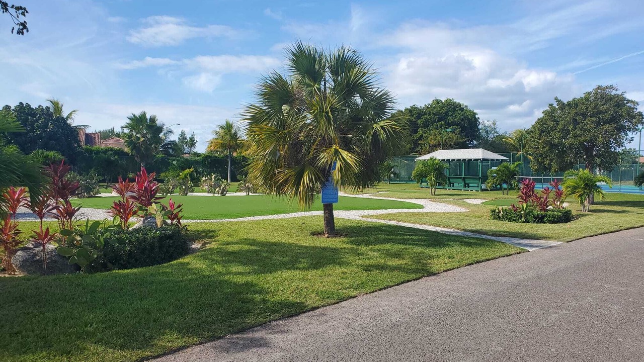 Photo of Others in Palm Cay
