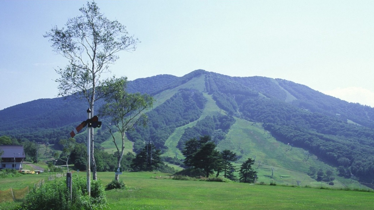 Photo of Outdoor in Madarao Mountain Resort