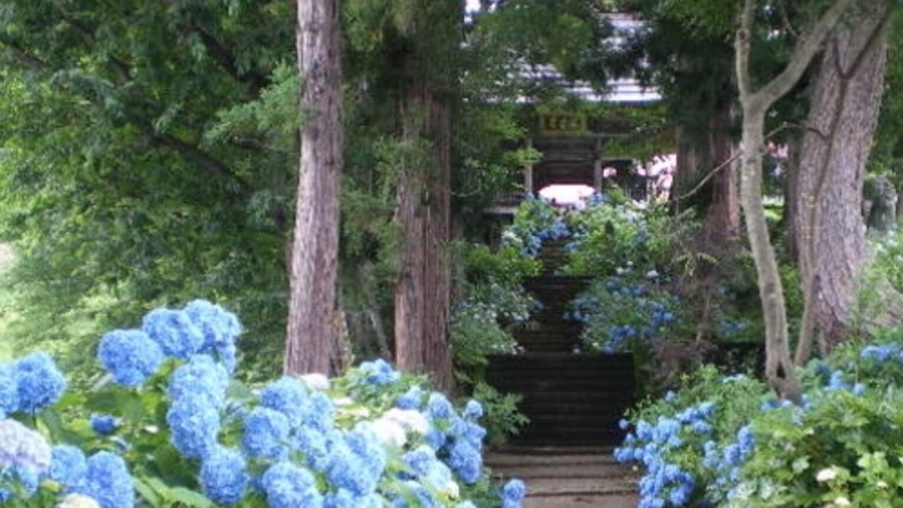 Photo of Outdoor in Madarao Mountain Resort
